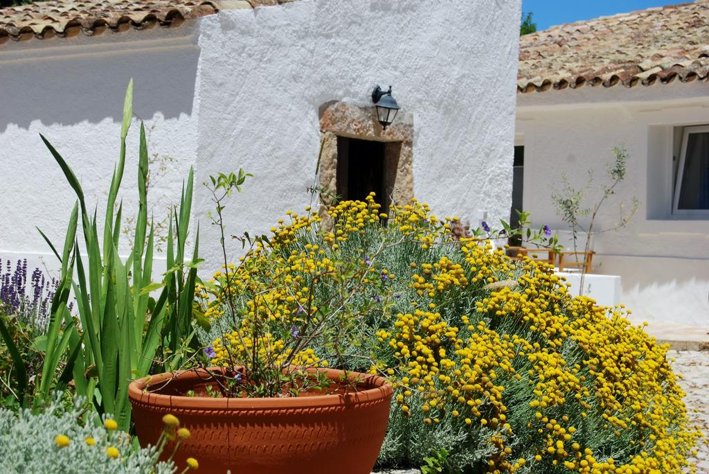 Farmhouse Of The Palms São Brás de Alportel Extérieur photo
